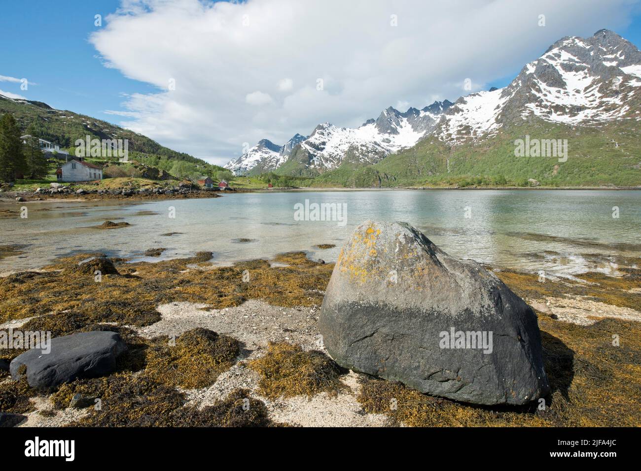 Paysage de plage, Lofoten, Norvège Banque D'Images
