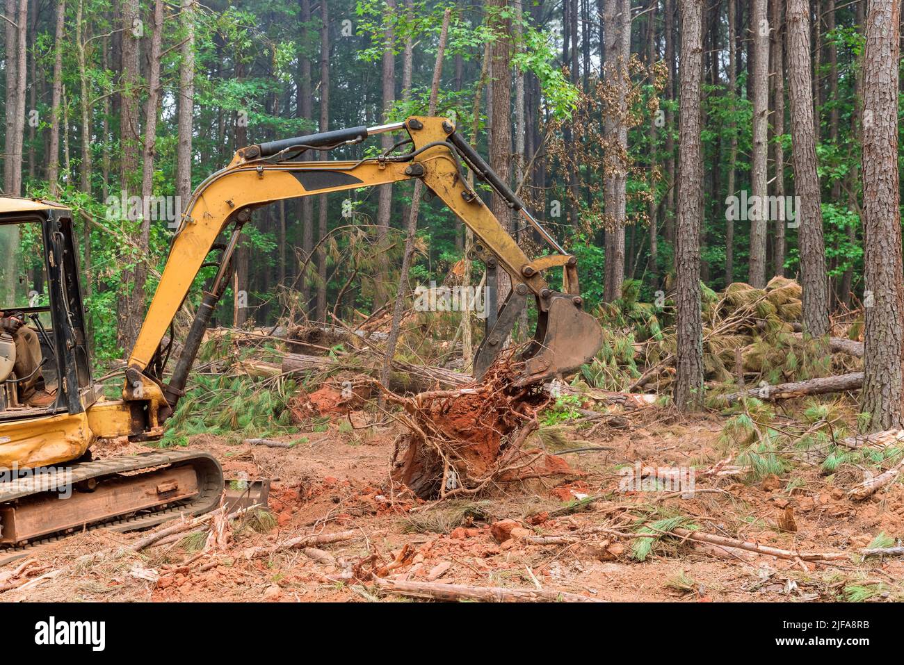 L'enlèvement des souches d'arbre se trouve dans la forêt avec la préparation des terres pour le logement du nouveau complexe Banque D'Images