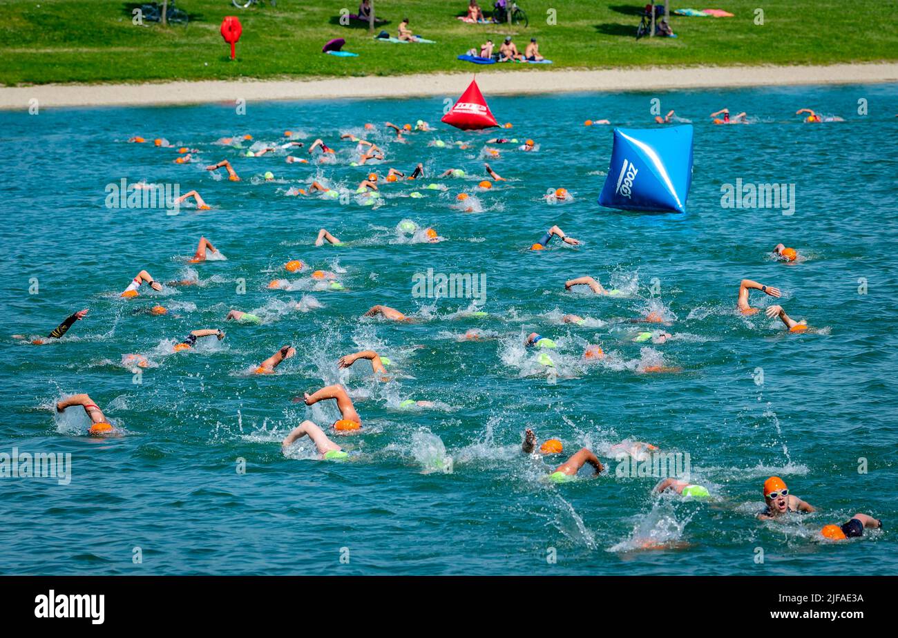 Nageurs à la discipline START au Stadttriathlon 27th à Erding, Bavière, Allemagne Banque D'Images