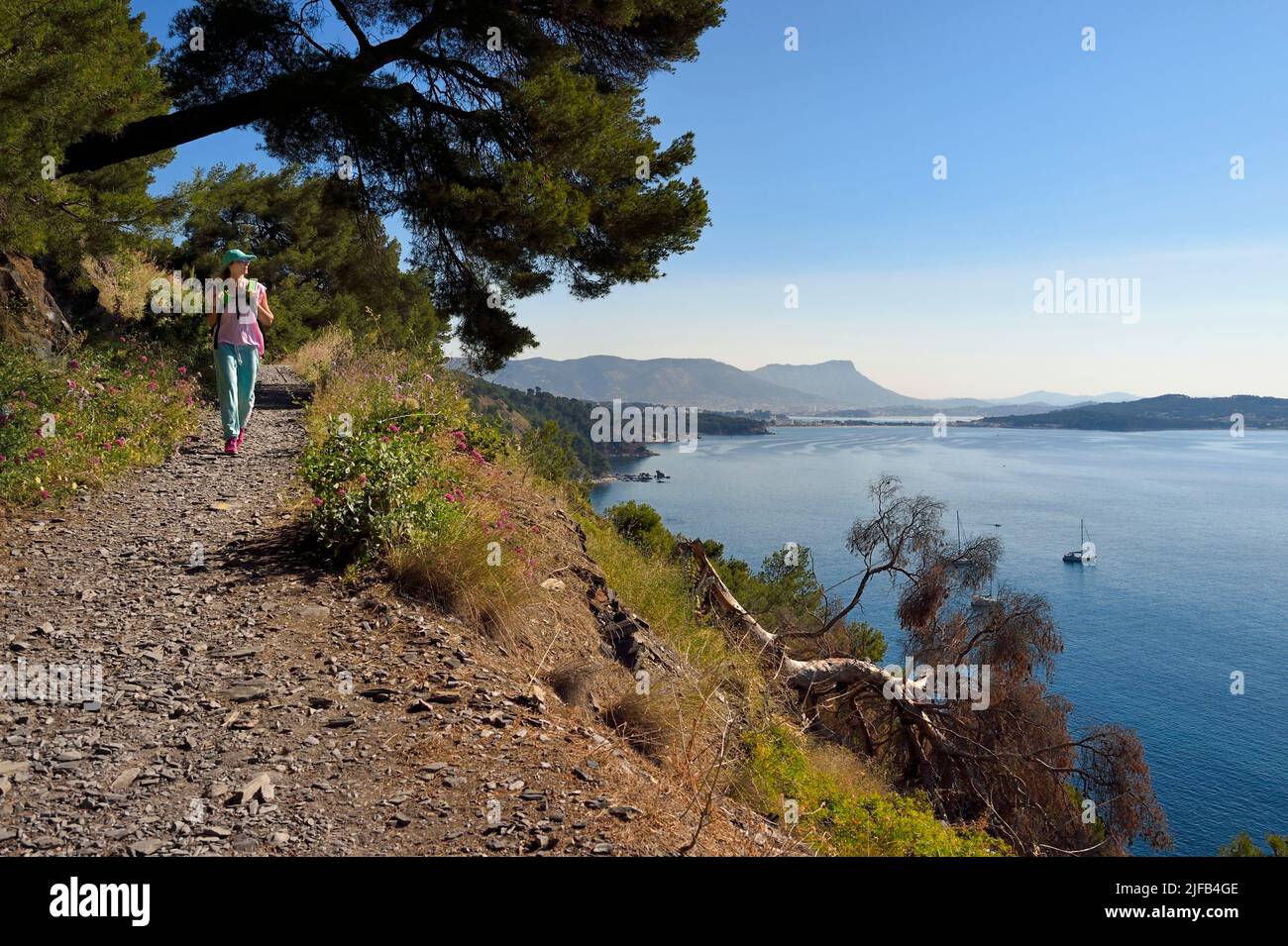 France, Var, la Seyne sur Mer, randonnée dans le massif du Cap Sicie le long du chemin du Joncquet en contrebas de la Corniche Merveilleuse, Banque D'Images