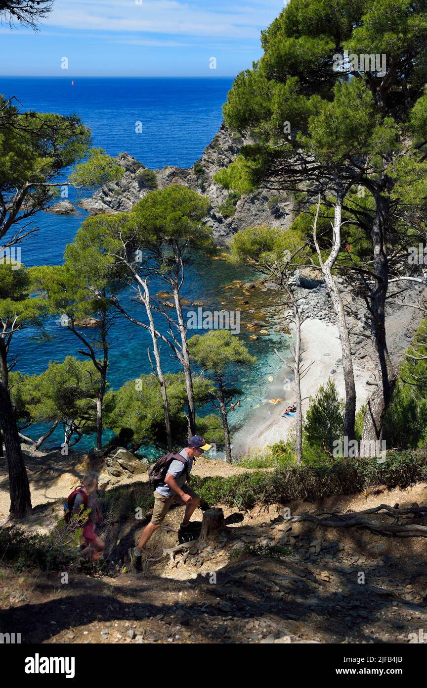 France, Var, six fours les plages, randonnée dans le massif du Cap Sicie,  plage du Mont Salva vers le Brusc Photo Stock - Alamy