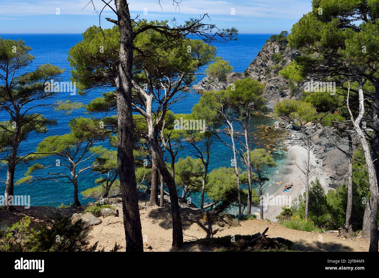 France, Var, six fours les plages, randonnée dans le massif du Cap Sicie,  plage du Mont Salva vers le Brusc Photo Stock - Alamy