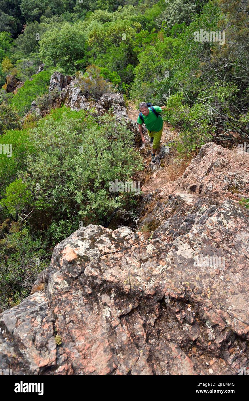 France, Var, entre Bagnols en Foret et Roquebrune sur Argens, randonnée dans les Gorges du Blavet Banque D'Images