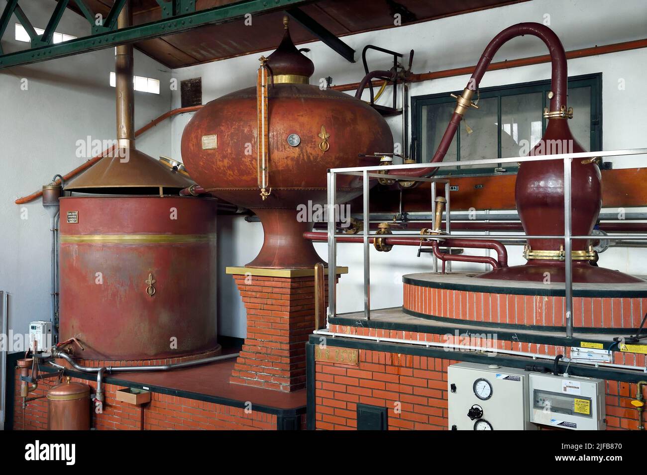 France, Charente, Sireuil, distillerie des Moisans, Charentais toujours destiné à produire de l'eau-de-vie qui deviendra cognac Banque D'Images