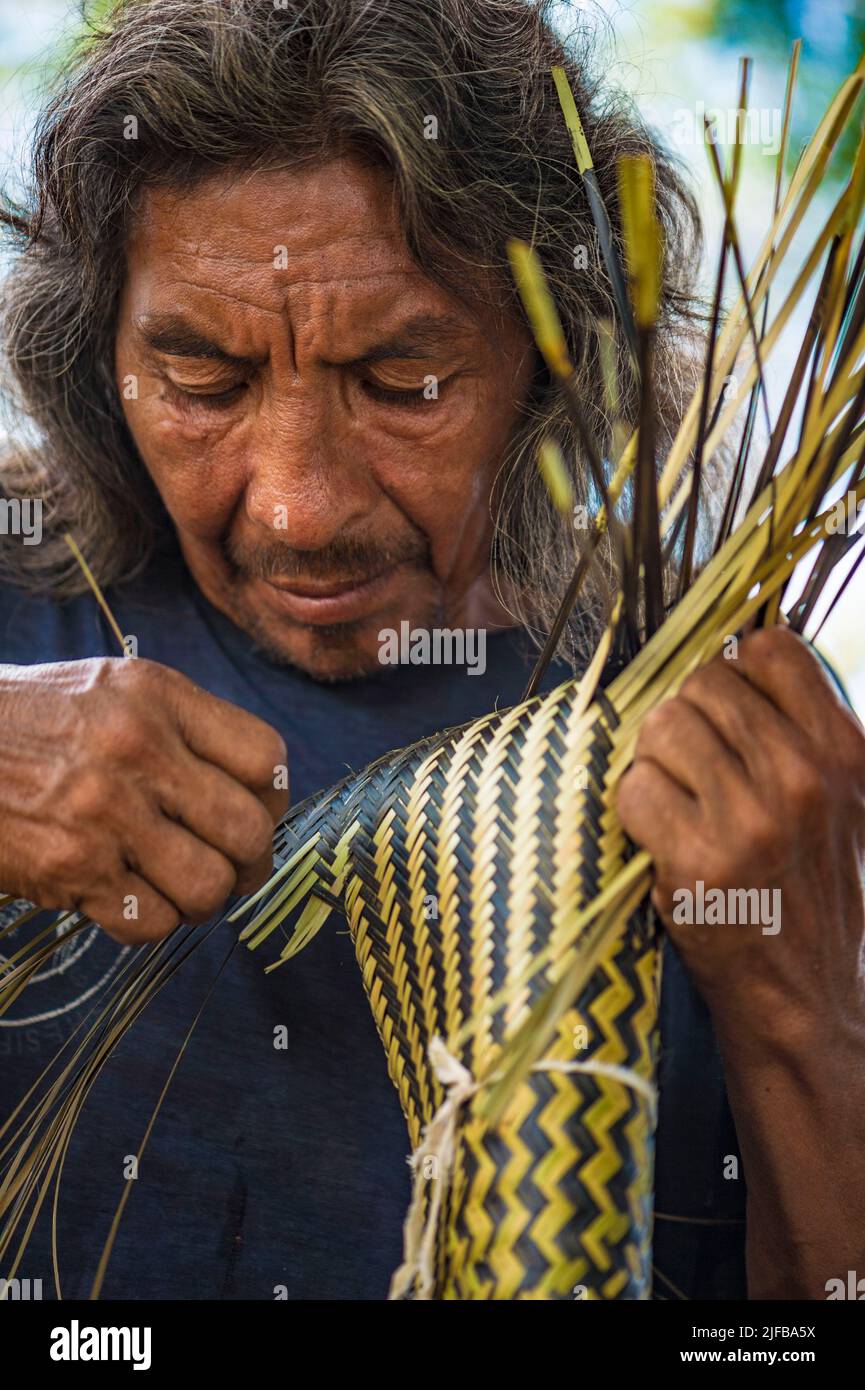 France, Guyane française, Parc amazonien, zone cardiaque, Camopi, L'artisan Renaud SAKEU conserve la mémoire de Wayàpi savoir-faire vivant, ici le tressage d'un couleuvre à partir de fibres d'arouman (certains brins ont été teintés avec un mélange de gomme naturelle et de charbon de bois pour la beauté des motifs), le couleuvre est un outil utilisé pour extraire le jus toxique de la farine de manioc Banque D'Images