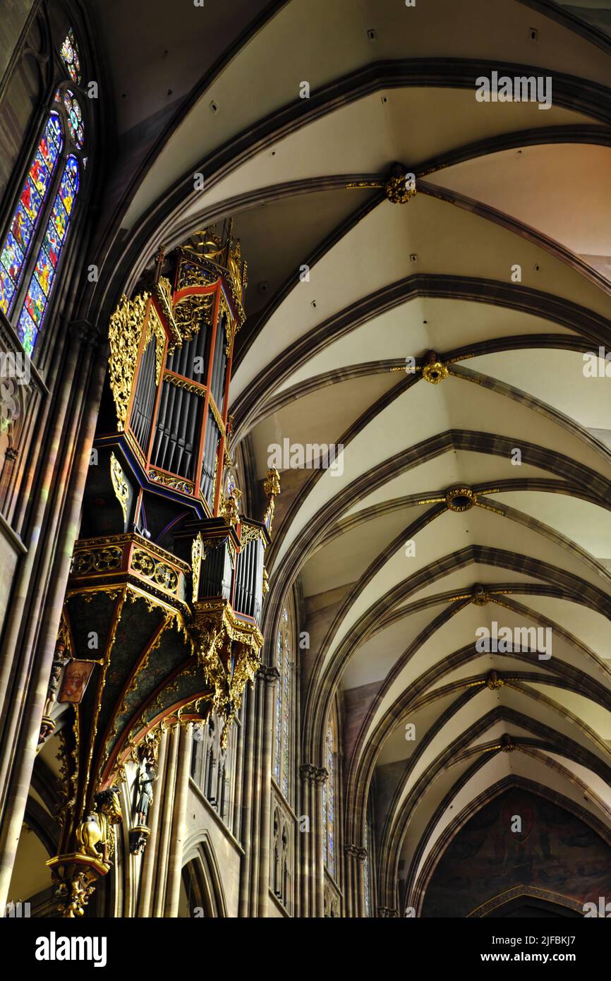 France, Bas Rhin, Strasbourg, vieille ville classée au patrimoine mondial de l'UNESCO, Cathédrale notre Dame, nef, grand orgue Banque D'Images
