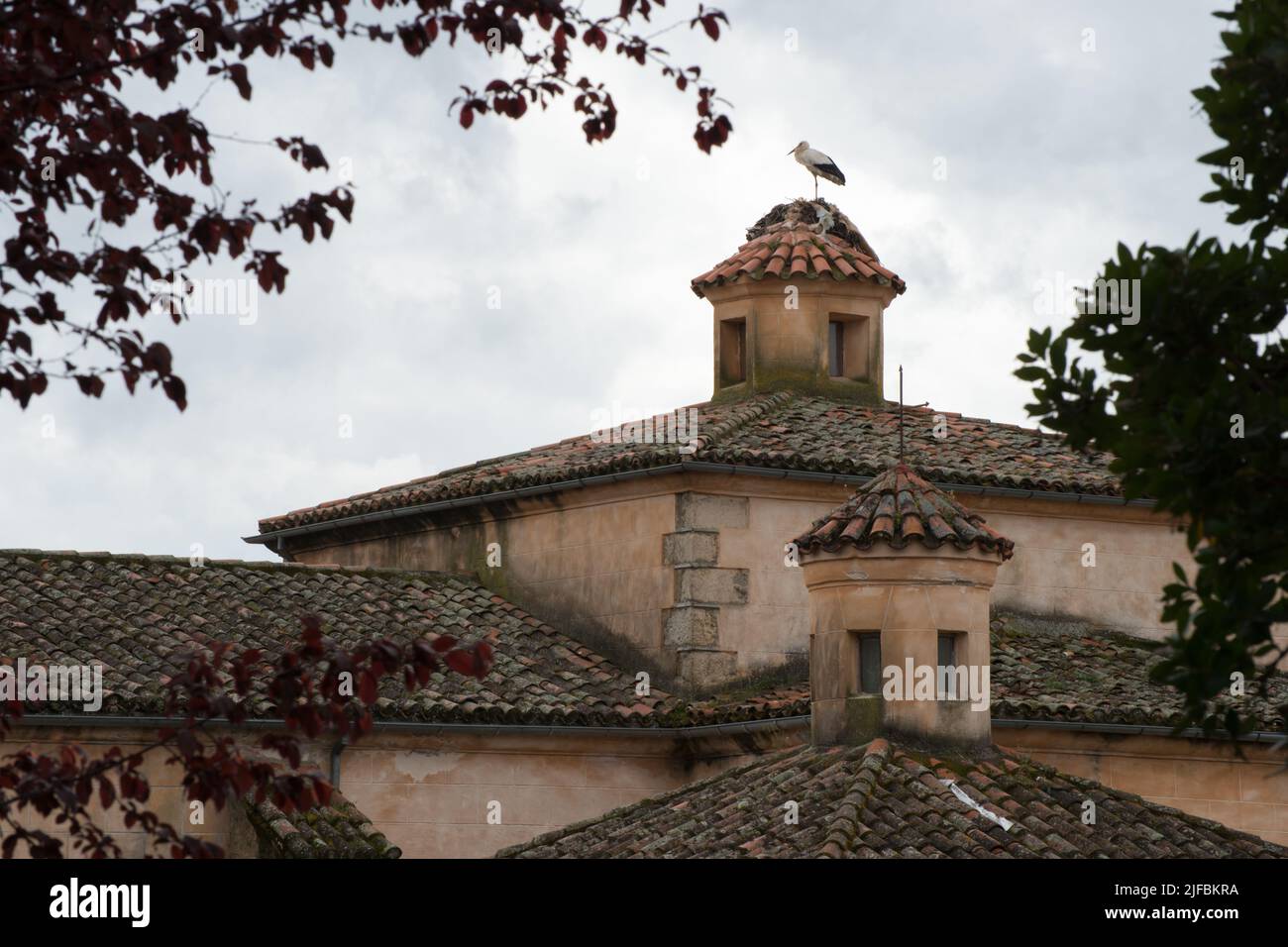 Bâtiment ancien avec une cigogne noire et blanche sur le toit. Caceres Banque D'Images