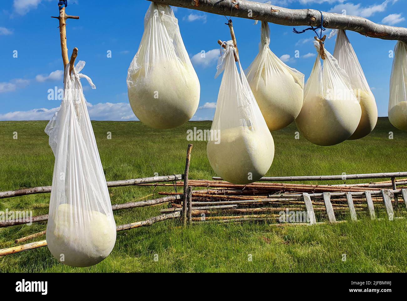 Fromage accroché à sécher dans le pli de feuille, traditionnel, rural Banque D'Images