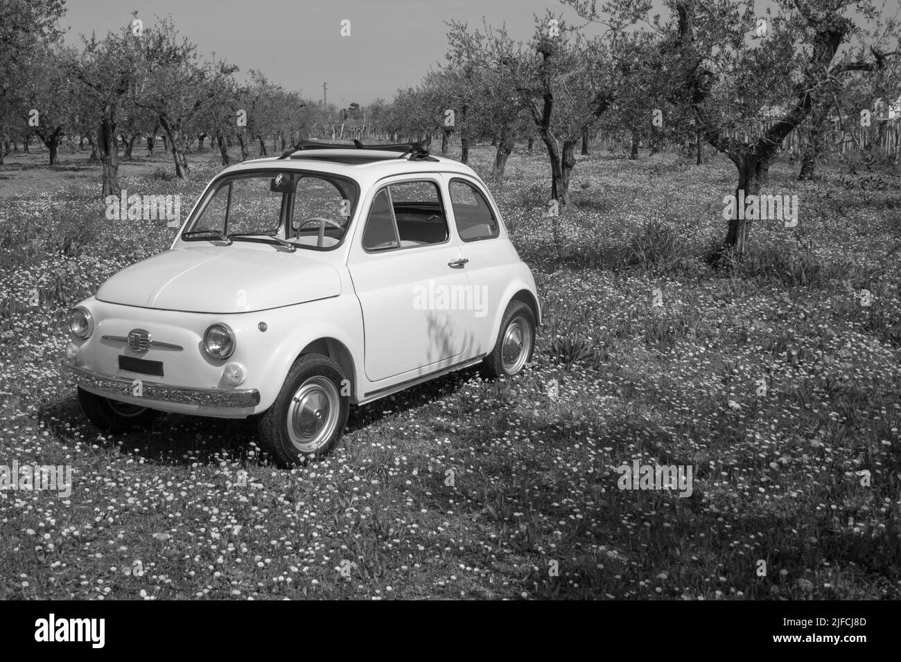 Image d'une ancienne Fiat 500 italienne garée dans un pré fleuri. Photos en noir et blanc. Banque D'Images