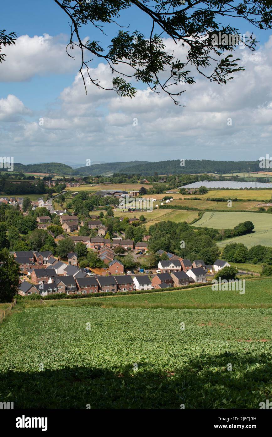 Vue générale sur les champs ruraux de Herefordshire, près du village de Lea, par une belle journée d'été. Banque D'Images
