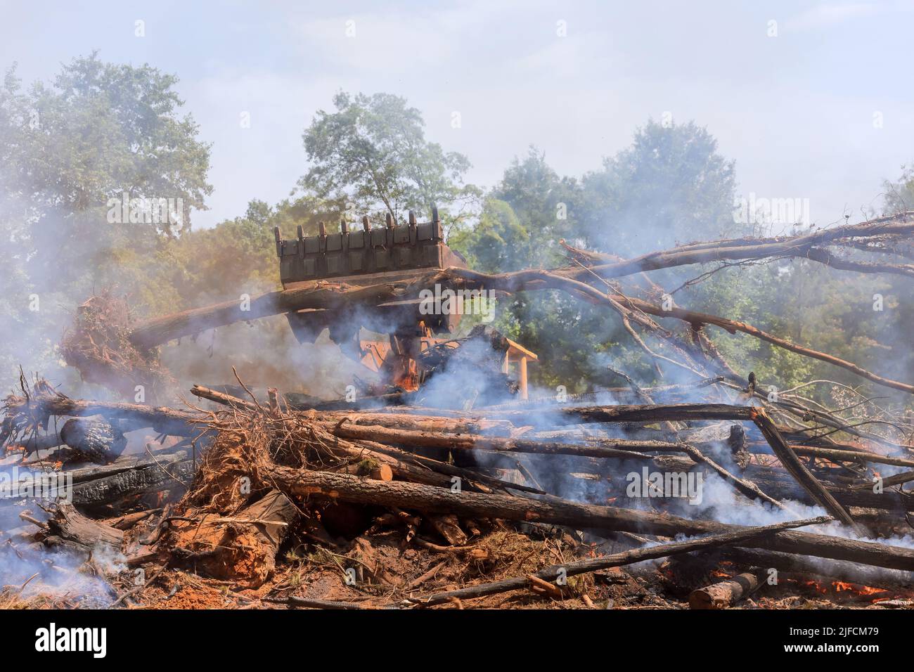 Arraché les arbres brûlés de l'enlèvement de la terre pour la construction de la maison Banque D'Images