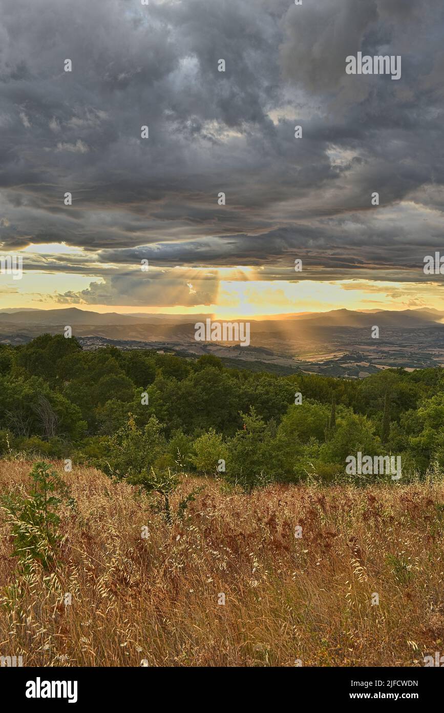 Coucher de soleil avec ciel nuageux, devant un champ de blé en Toscane. C'était pendant une soirée d'été. Banque D'Images