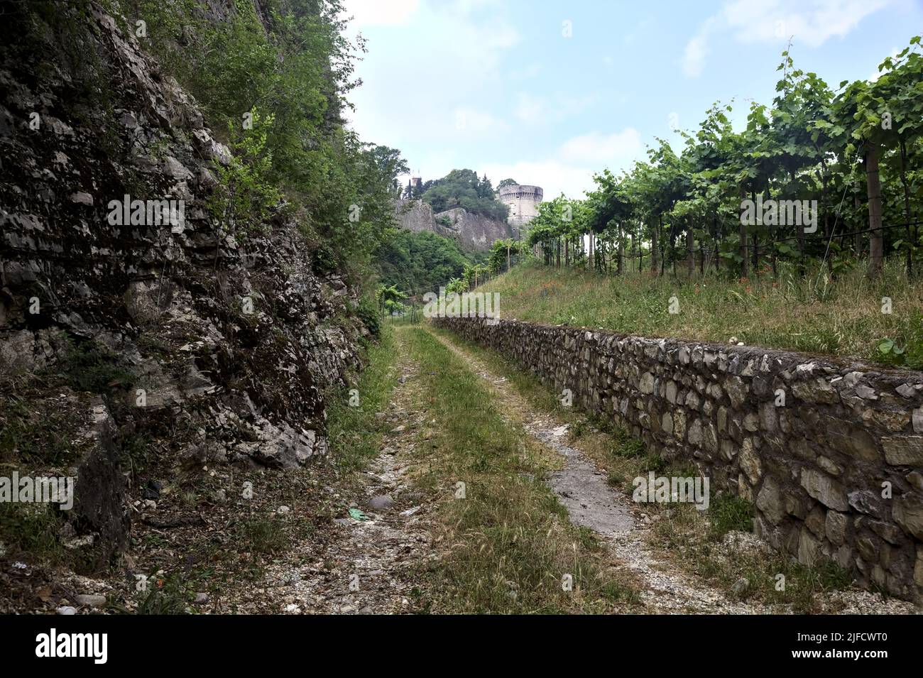 Chemin de terre au milieu d'un vignoble avec une fortification sur une colline en arrière-plan Banque D'Images