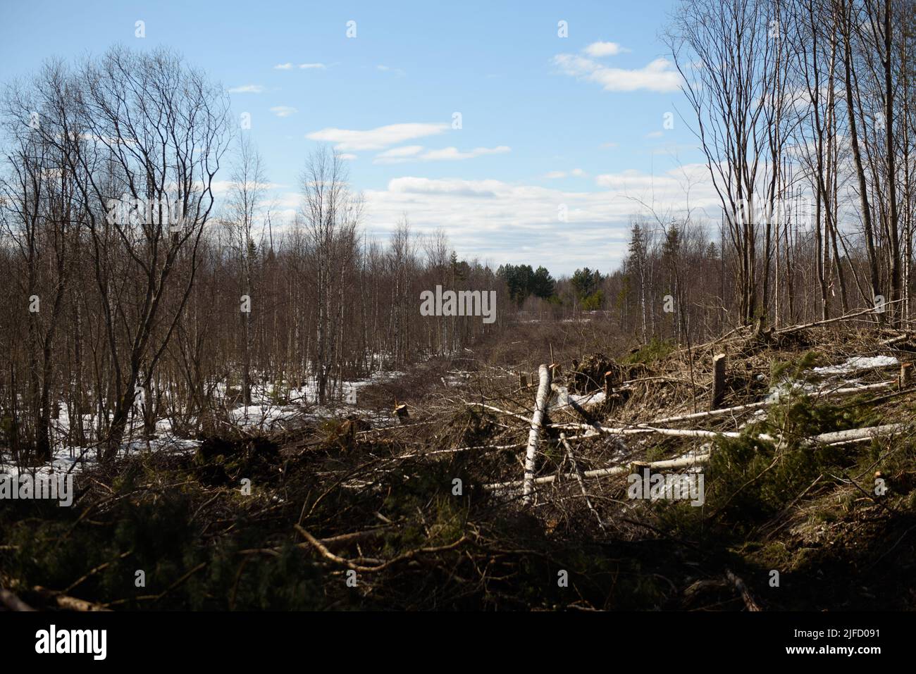 Le site de déforestation du gazoduc au milieu du printemps Banque D'Images