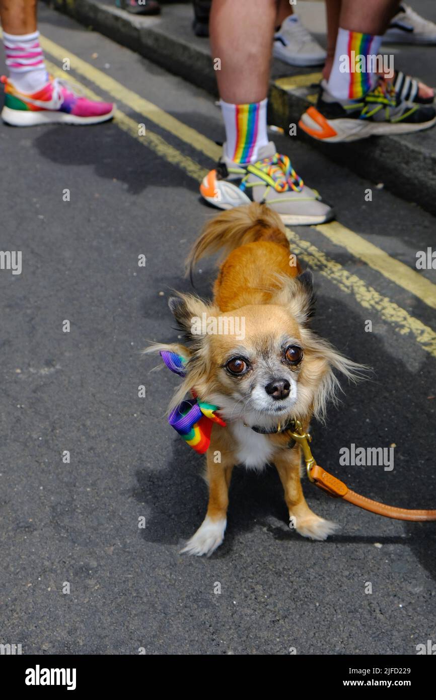 Londres, Royaume-Uni, 1st juillet 2022. Les vétérans de la première Marche de la fierté au Royaume-Uni et d'autres activistes LGBT+ ont marqué le 50th anniversaire de l'événement en marchant le long de la route originale prise en 1972. Les manifestants ont ramené la fierté à ses racines du Front de libération gay (FGLF) pour protester contre la discrimination et la lutte pour l'égalité. Crédit : onzième heure Photographie/Alamy Live News Banque D'Images