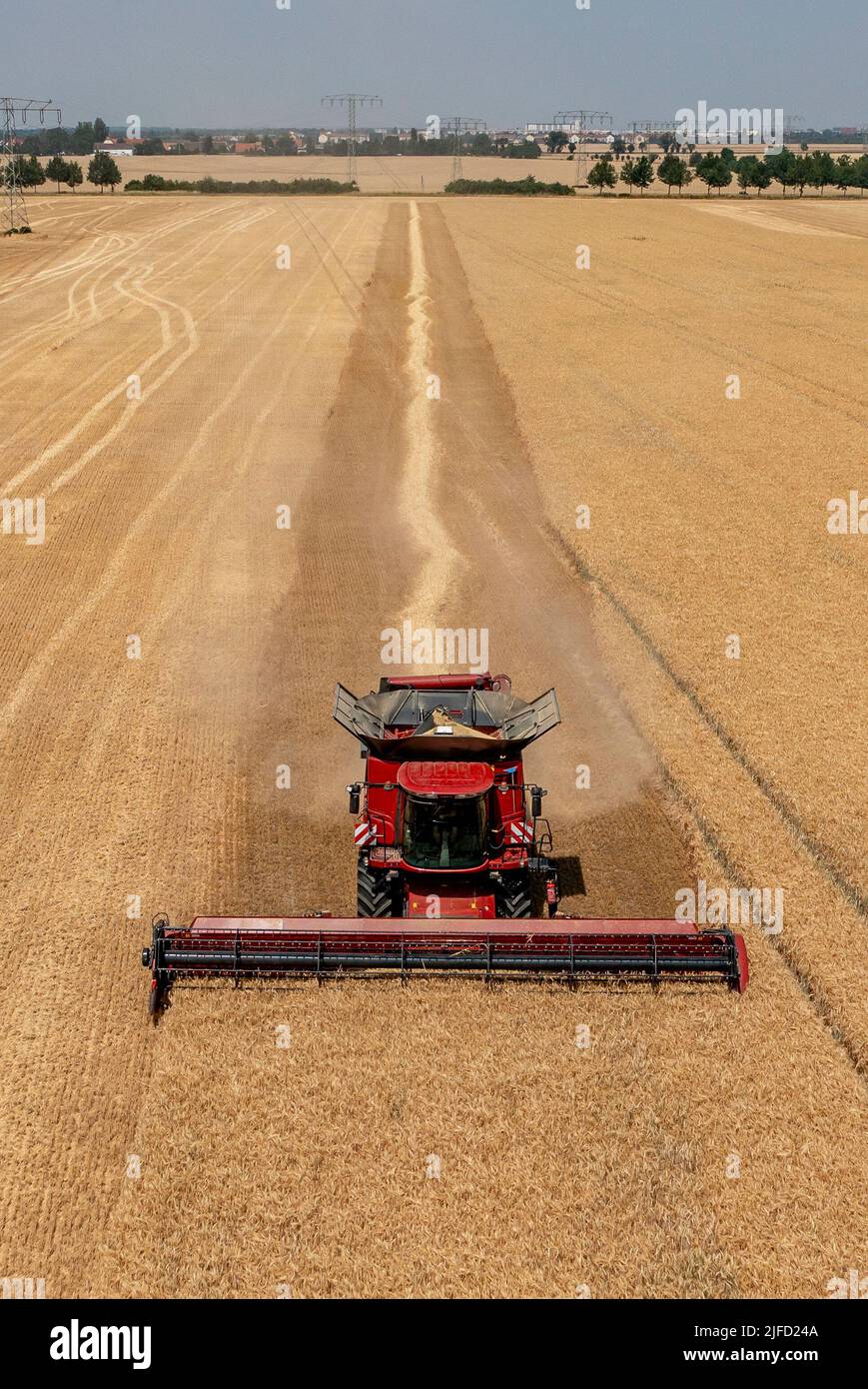 Rehbach, Allemagne. 30th juin 2022. Une moissonneuse-batteuse appartenant à Agrarprodukte Kitzen, par exemple, récolte de l'orge dans un champ proche de Leipzig. Normalement, la récolte ne commence pas ici avant juillet. Cette année, après la chaleur et la sécheresse, les agriculteurs de Saxe emportent leurs moissonneuses-batteuses dans les champs bien plus tôt dans de nombreux endroits. Agrarprodukte Kitzen, par exemple, exploite 2800 hectares de terres arables, dont les céréales s'étendent sur environ 1900 hectares. (Photo aérienne avec drone) Credit: Jan Woitas/dpa/Alamy Live News Banque D'Images