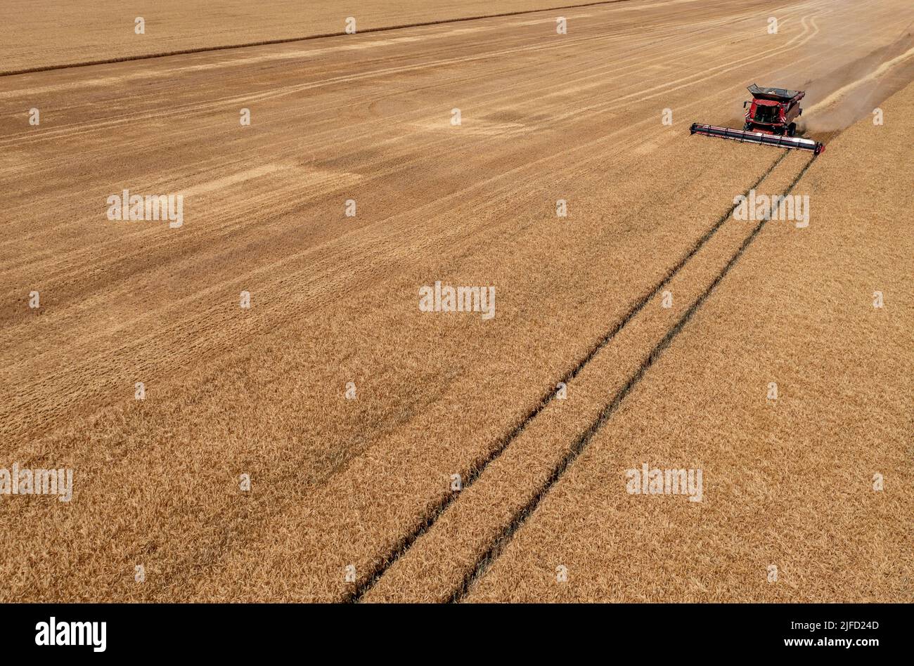Rehbach, Allemagne. 30th juin 2022. Une moissonneuse-batteuse appartenant à Agrarprodukte Kitzen, par exemple, récolte de l'orge dans un champ proche de Leipzig. Normalement, la récolte ne commence pas ici avant juillet. Cette année, après la chaleur et la sécheresse, les agriculteurs de Saxe emportent leurs moissonneuses-batteuses dans les champs bien plus tôt dans de nombreux endroits. Agrarprodukte Kitzen, par exemple, exploite 2800 hectares de terres arables, dont les céréales s'étendent sur environ 1900 hectares. (Photo aérienne avec drone) Credit: Jan Woitas/dpa/Alamy Live News Banque D'Images