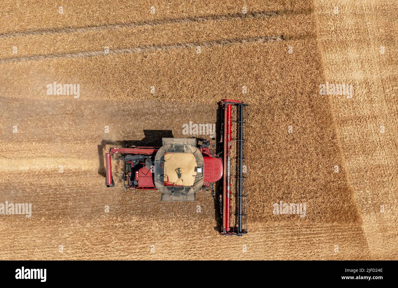 Rehbach, Allemagne. 30th juin 2022. Une moissonneuse-batteuse appartenant à Agrarprodukte Kitzen, par exemple, récolte de l'orge dans un champ proche de Leipzig. Normalement, la récolte ne commence pas ici avant juillet. Cette année, après la chaleur et la sécheresse, les agriculteurs de Saxe emportent leurs moissonneuses-batteuses dans les champs bien plus tôt dans de nombreux endroits. Agrarprodukte Kitzen, par exemple, exploite 2800 hectares de terres arables, dont les céréales s'étendent sur environ 1900 hectares. (Photo aérienne avec drone) Credit: Jan Woitas/dpa/Alamy Live News Banque D'Images