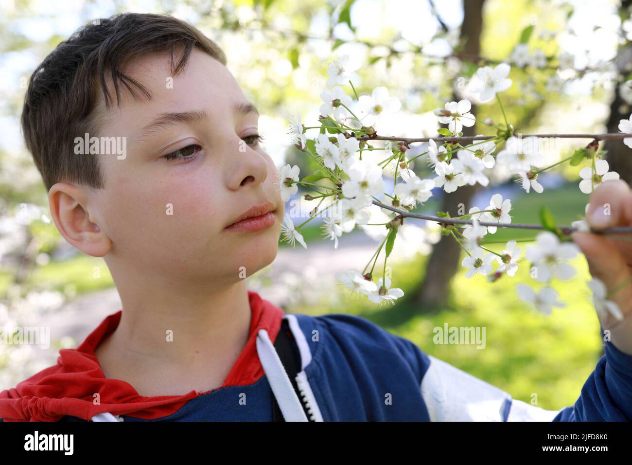 L'enfant inonde l'odeur des pommiers dans le parc Banque D'Images