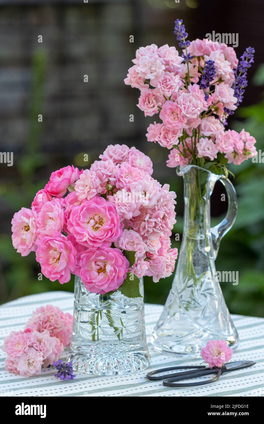 bouquets de roses roses dans des verres en cristal dans le jardin Banque D'Images