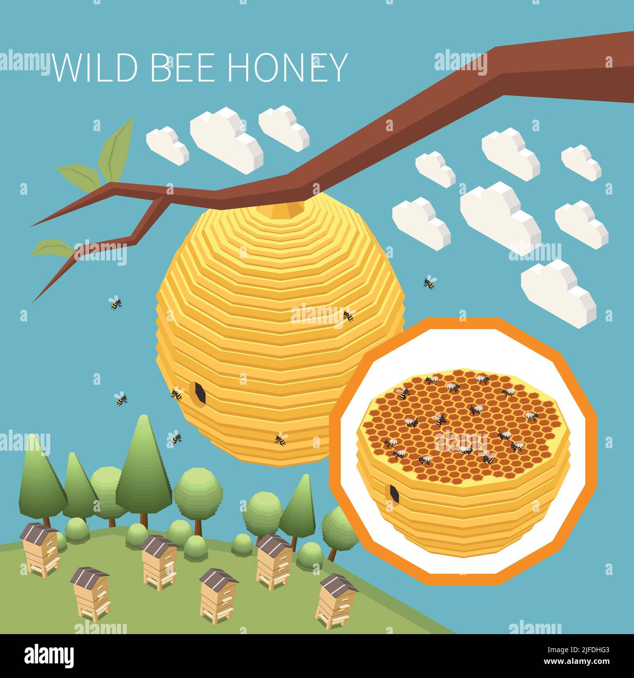 Arrière-plan isométrique de miel d'abeille sauvage avec nid de ruche d'abeille accrochée sur l'illustration du vecteur de branche d'arbre Illustration de Vecteur