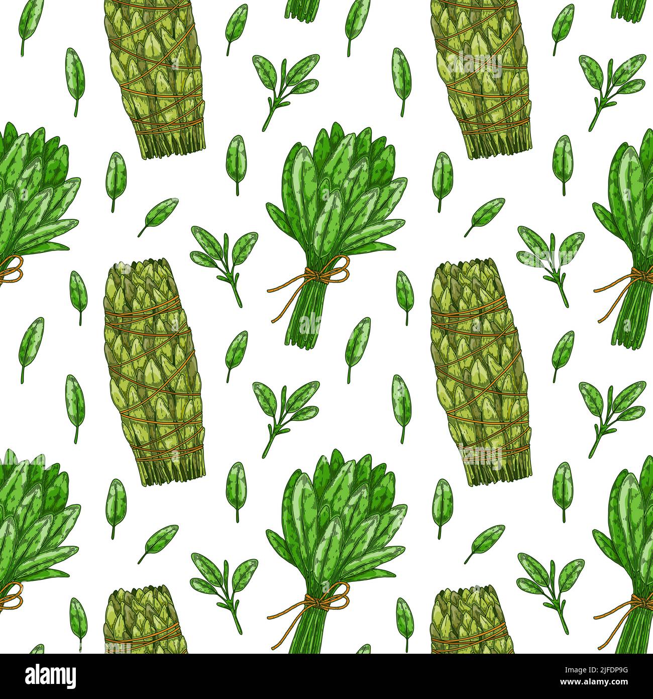Motif sans couture avec feuilles et petits pains en sauge. Légumes verts et feuilles dessinés à la main. Illustration vectorielle dans un style d'esquisse coloré Illustration de Vecteur
