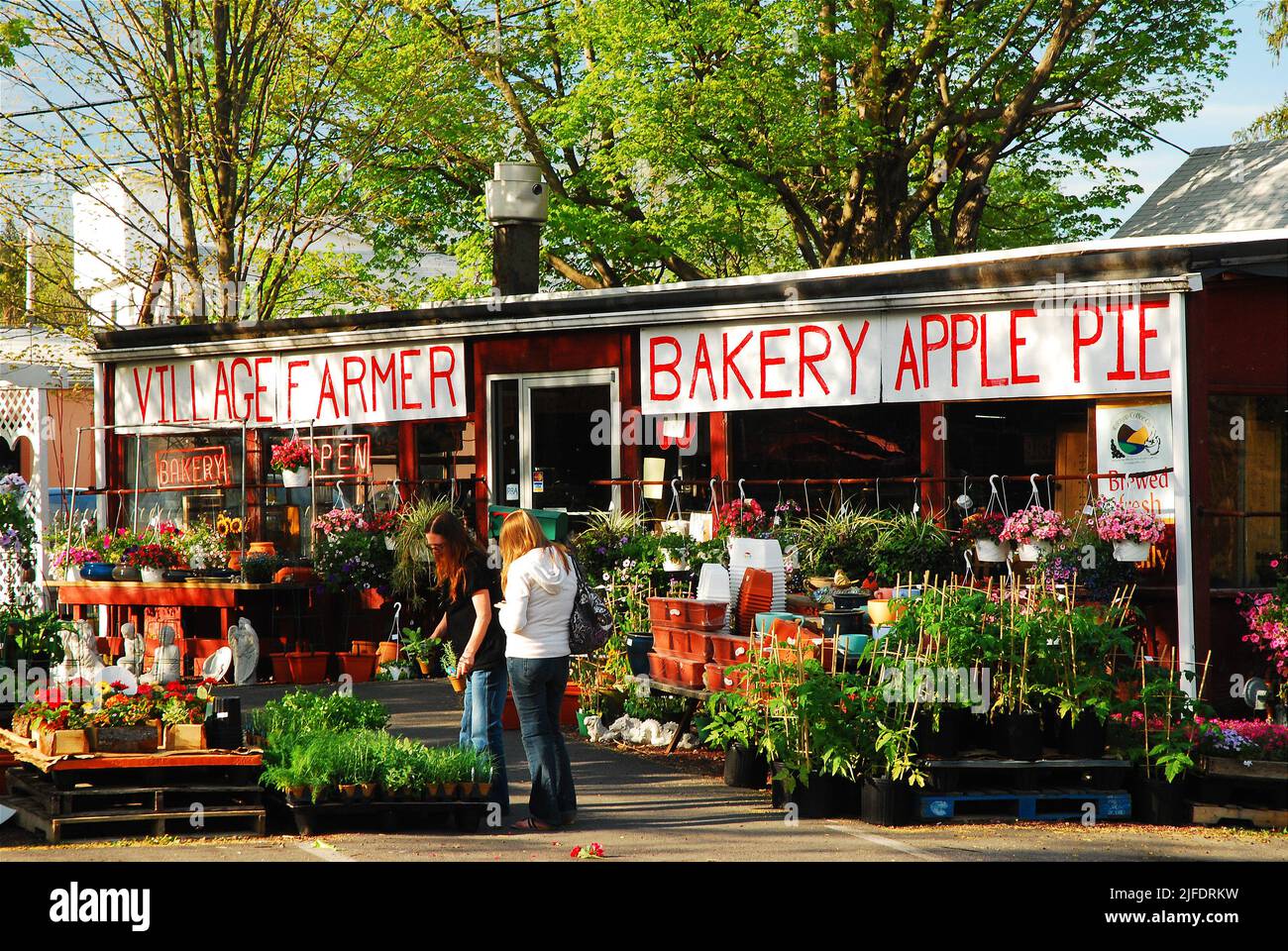 Deux femmes magasinent pour les fleurs du printemps et de l'été dans un magasin de jardin situé sur le côté de la route qui vend également des produits de boulangerie tels que la tarte aux pommes Banque D'Images