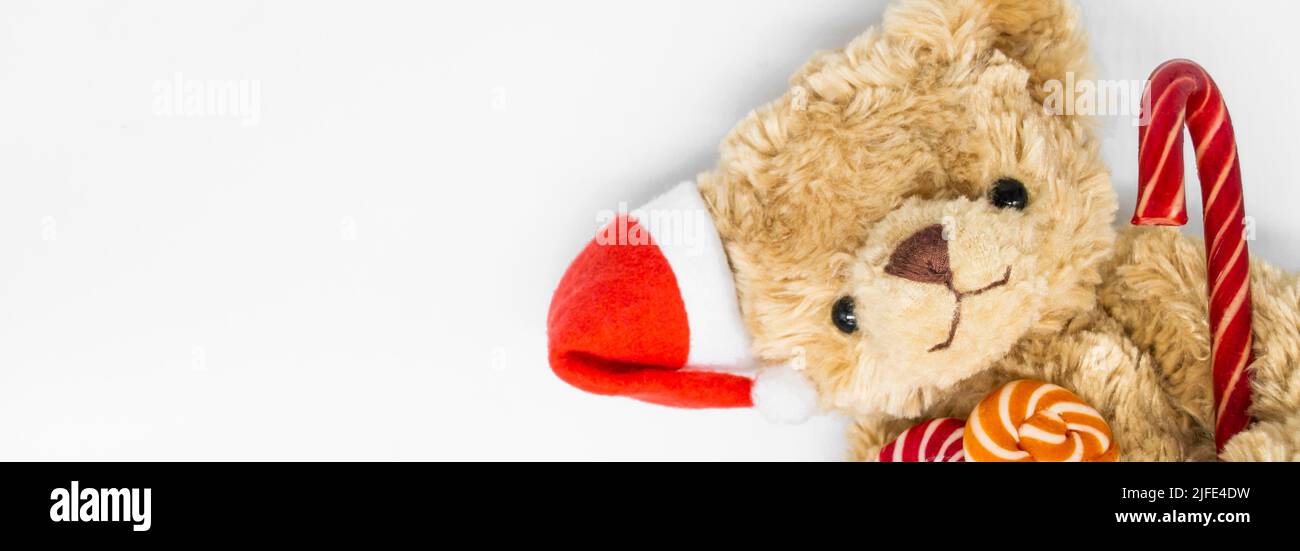 Bannière avec ours en peluche Teddy dans un chapeau de Père Noël rouge sur une oreille, tenant la canne à sucre et deux sucettes rayées dans ses pattes. Fond blanc, CO Banque D'Images