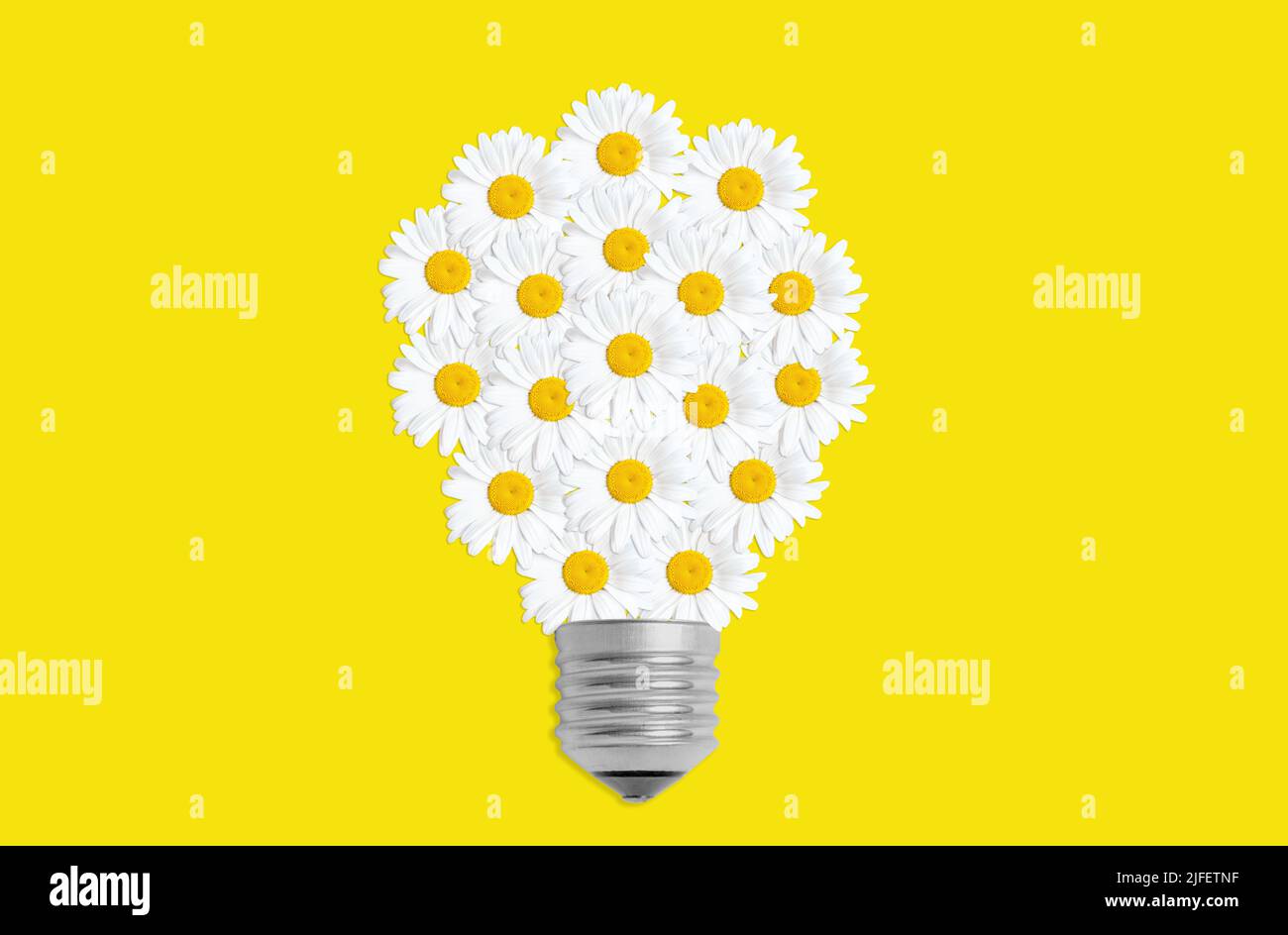 Autre concept de puissance : symbole de l'ampoule disposé à partir de fleurs de Marguerite fraîches isolées sur le jaune. Une idée de style de vie durable. Banque D'Images