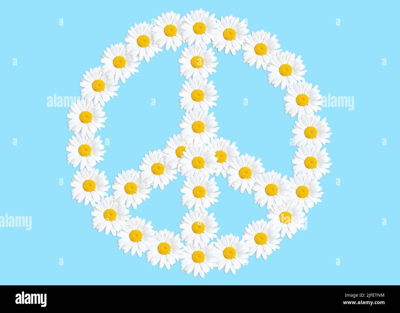 Signe de paix fait de pâquerettes fraîches isolées sur fond bleu. Concept de puissance des fleurs. Banque D'Images