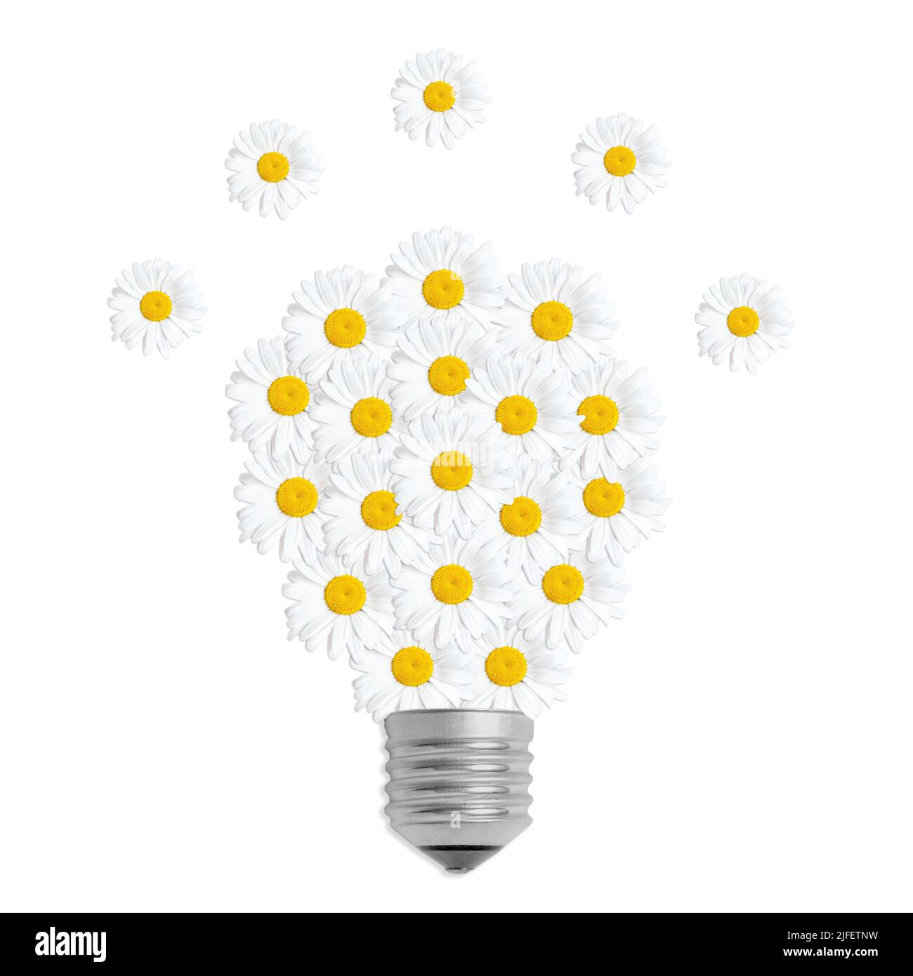 Concept de puissance verte : forme d'ampoule à partir de pâquerettes isolées sur blanc. Banque D'Images