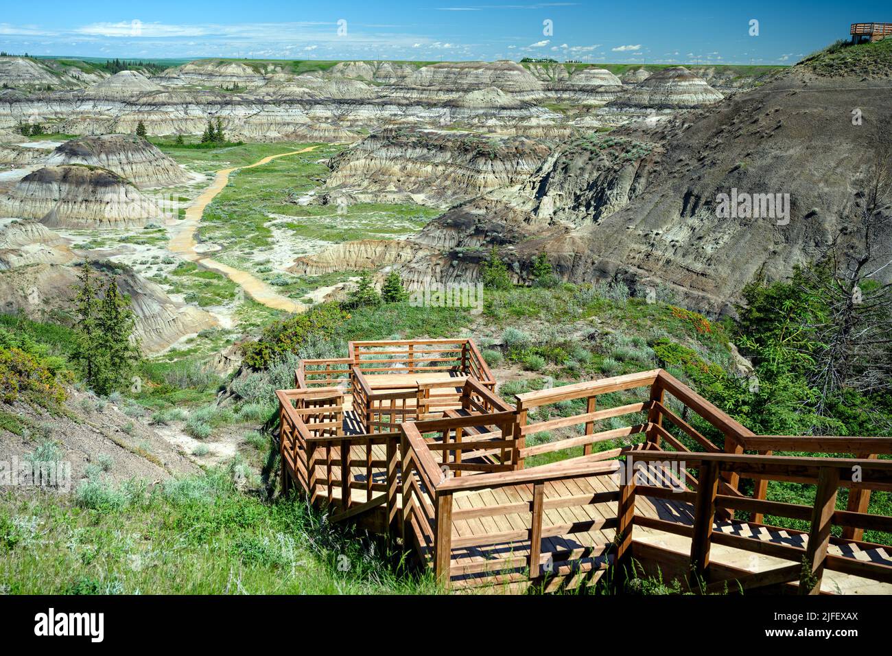 Horseshoe Canyon, dans la vallée de la rivière Red Deer, Badlands canadiens, sur le sentier North Dinosaur, Drumheller, Alberta, Canada Banque D'Images