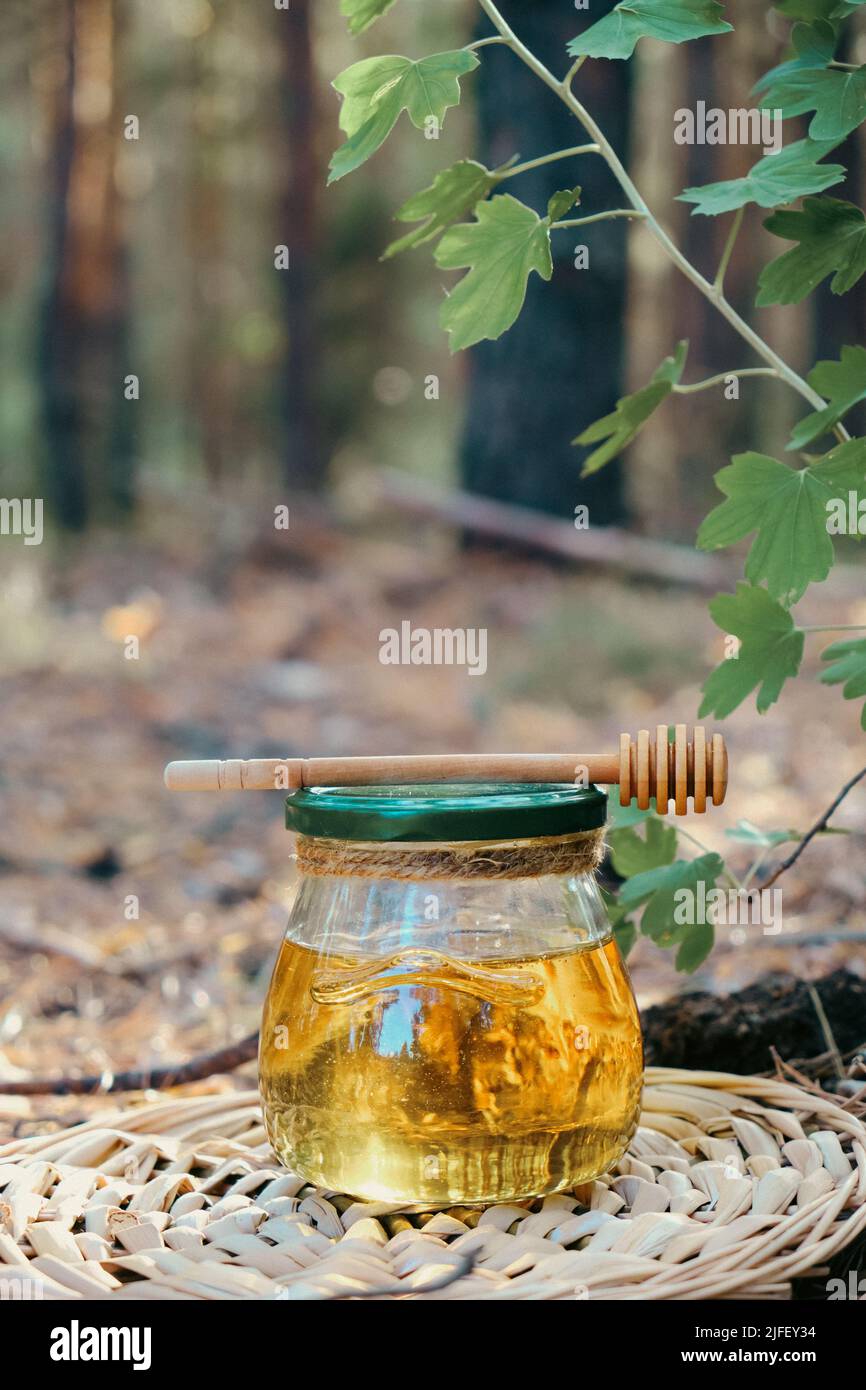 Pot de miel frais et cuillère pour le miel dans la forêt Banque D'Images