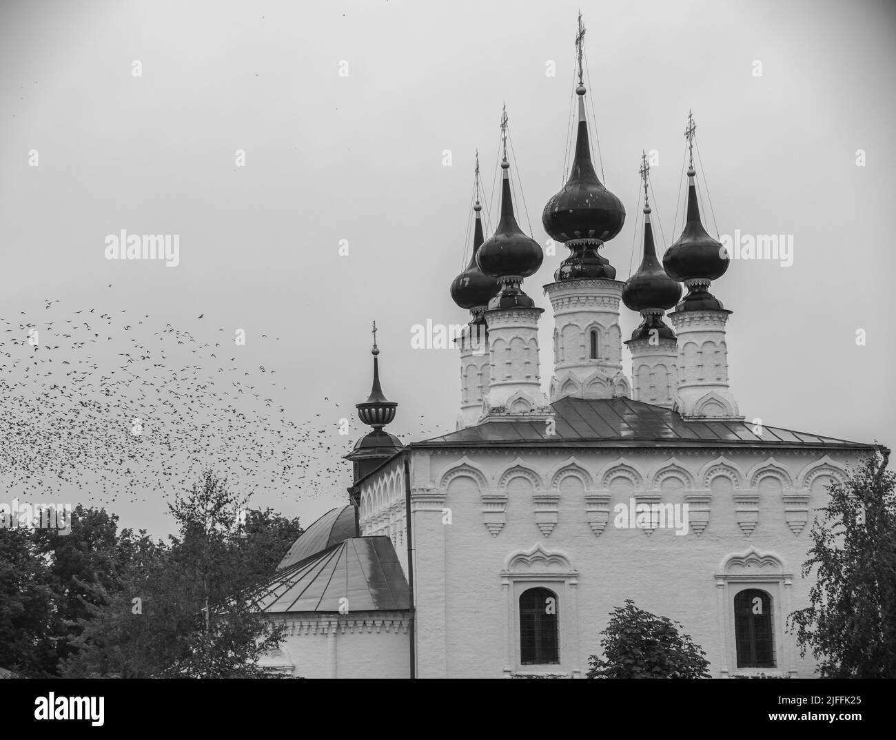 Grande église chrétienne dans le village et oiseaux volants - Suzdal, Russie Banque D'Images