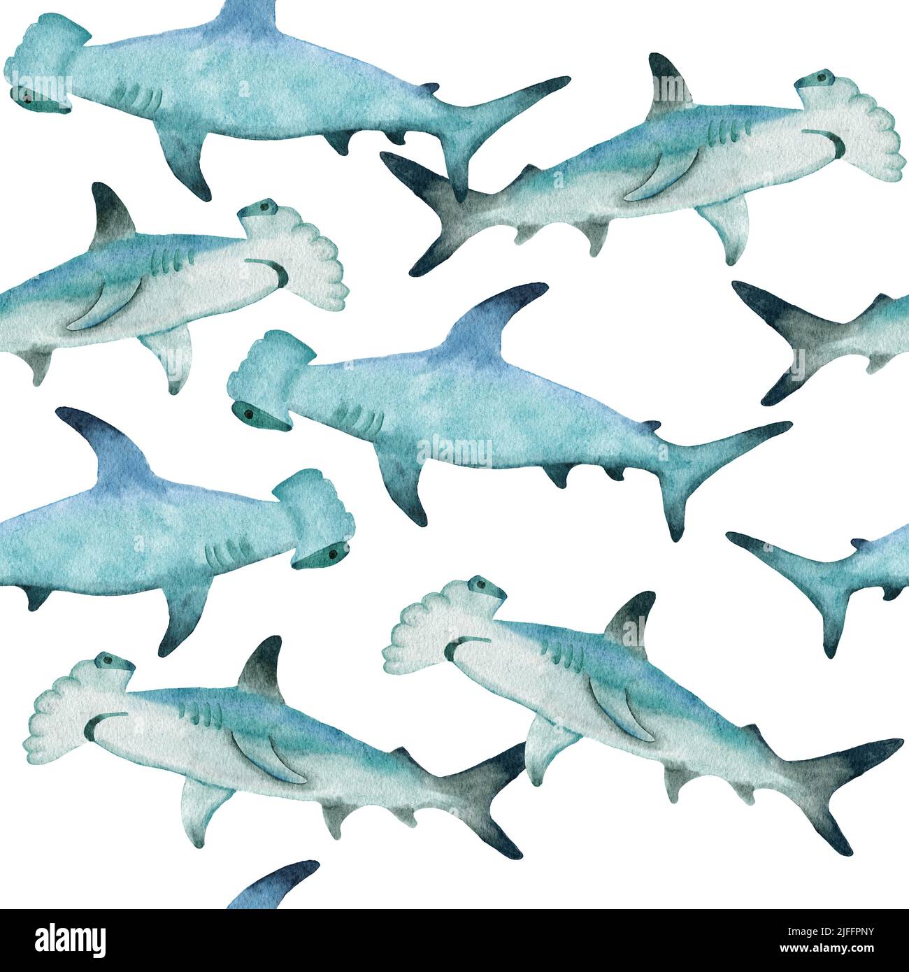 Motif aquarelle dessiné à la main avec requin-marteau. Océan marin animal marin, marin sous-marin espèces de mammifères en voie de disparition. Illustration bleu-gris pour la décoration de chambre de bébé en tissu, sous les imprimés de mer Banque D'Images