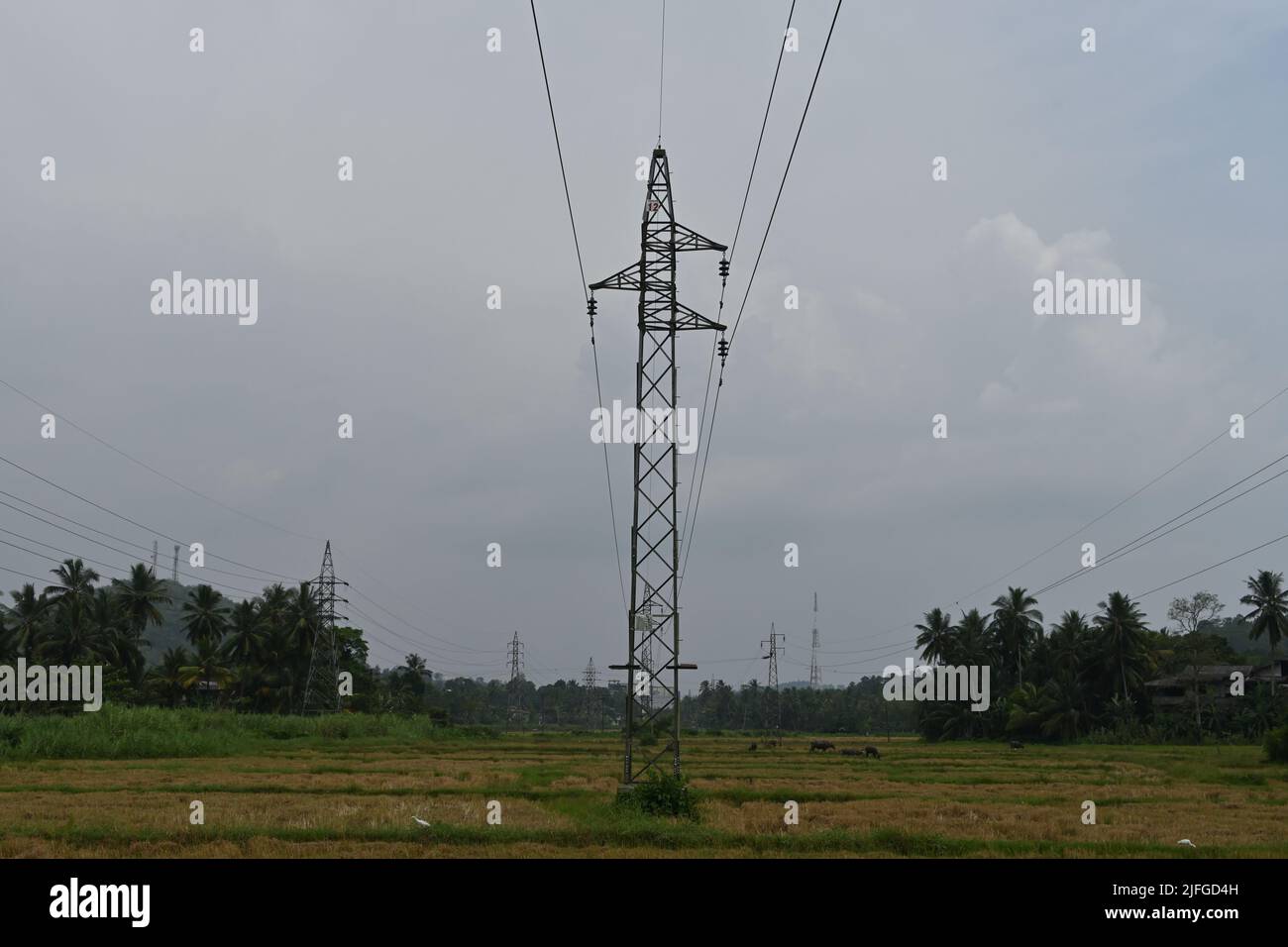 Horana,district de Kalutara,Sri Lanka février 25 2022: Pylône électrique avec les câbles d'alimentation au milieu d'un rizières Banque D'Images