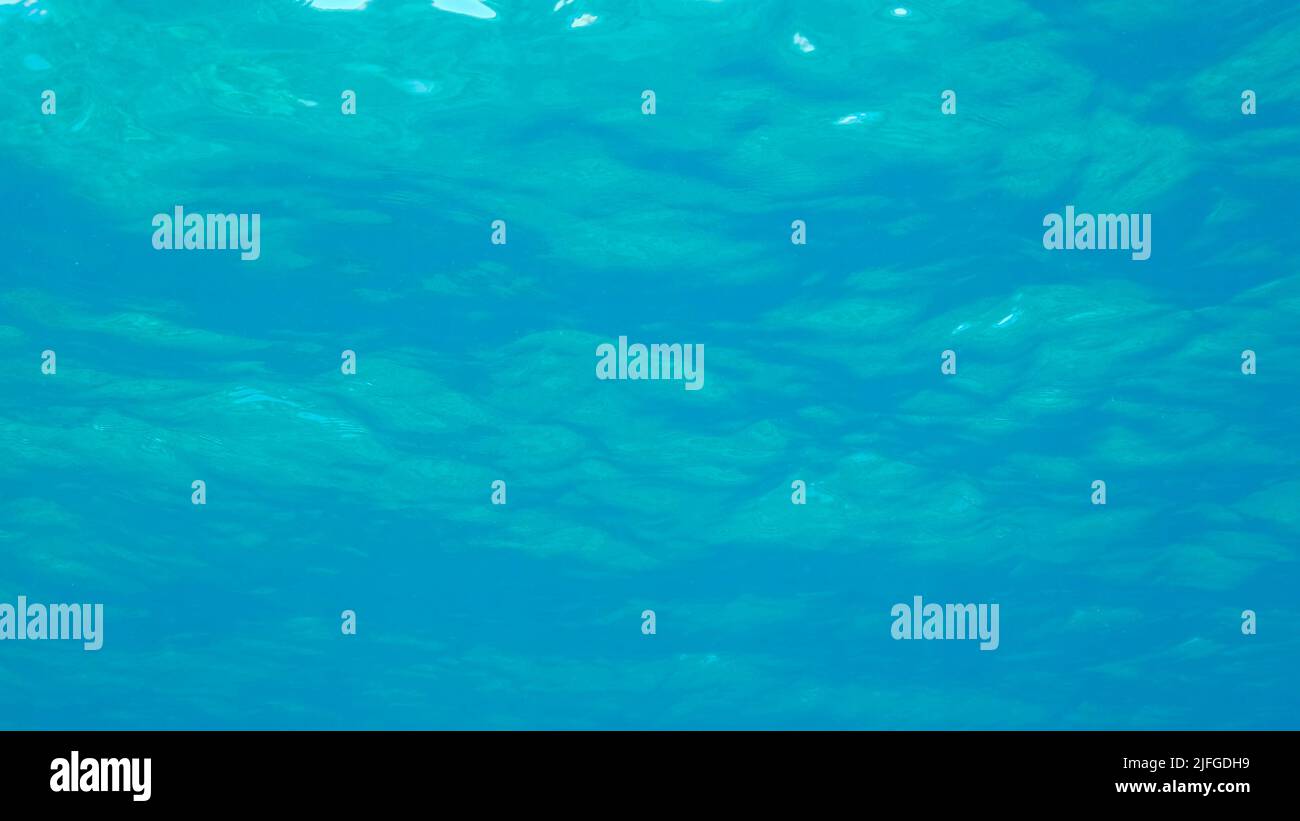 Surface de la mer. Fond naturel avec des glints de soleil sur la surface de l'eau. Vue sous l'eau. Mer rouge, Égypte Banque D'Images
