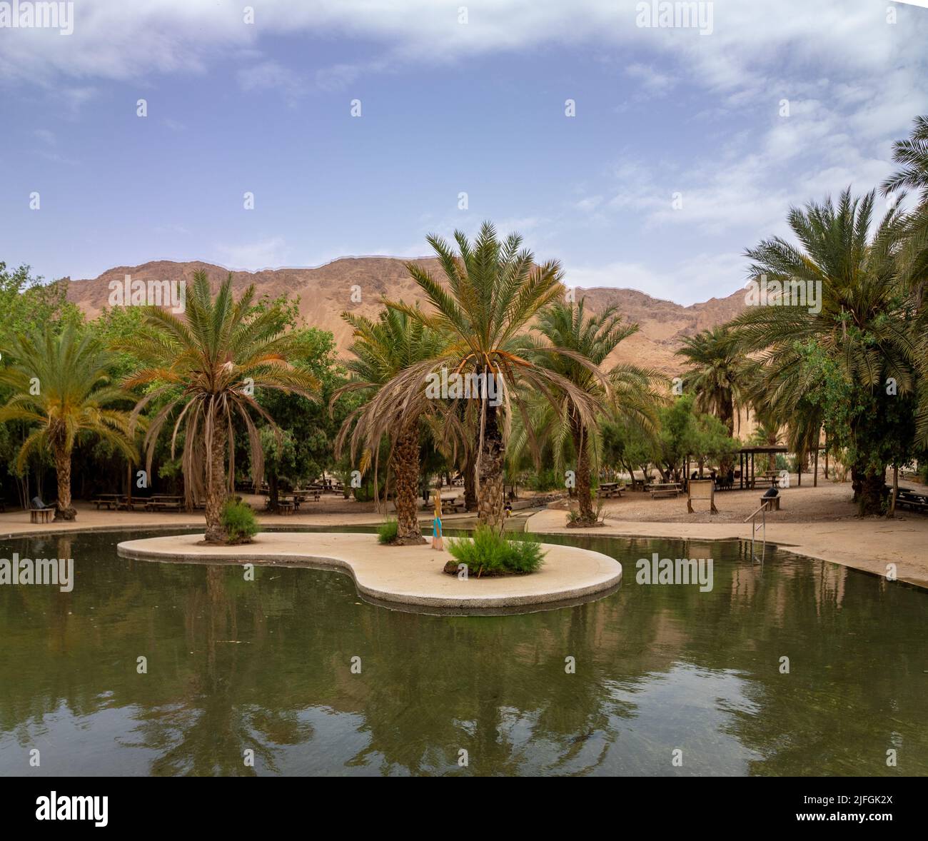 La belle piscine est pleine d'eau claire dans le centre de la réserve naturelle d'Einot Tzukim, au nord de la mer Morte - Israël Banque D'Images