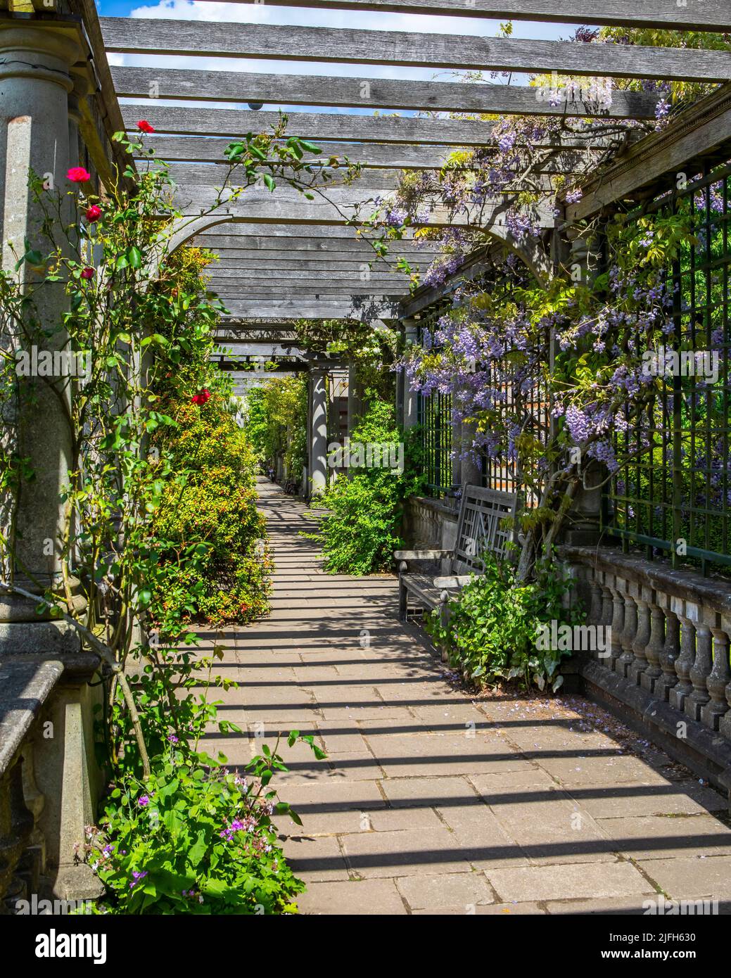 Une vue magnifique sur Pergola et Hill Garden à Hampstead, Londres, Royaume-Uni. Banque D'Images