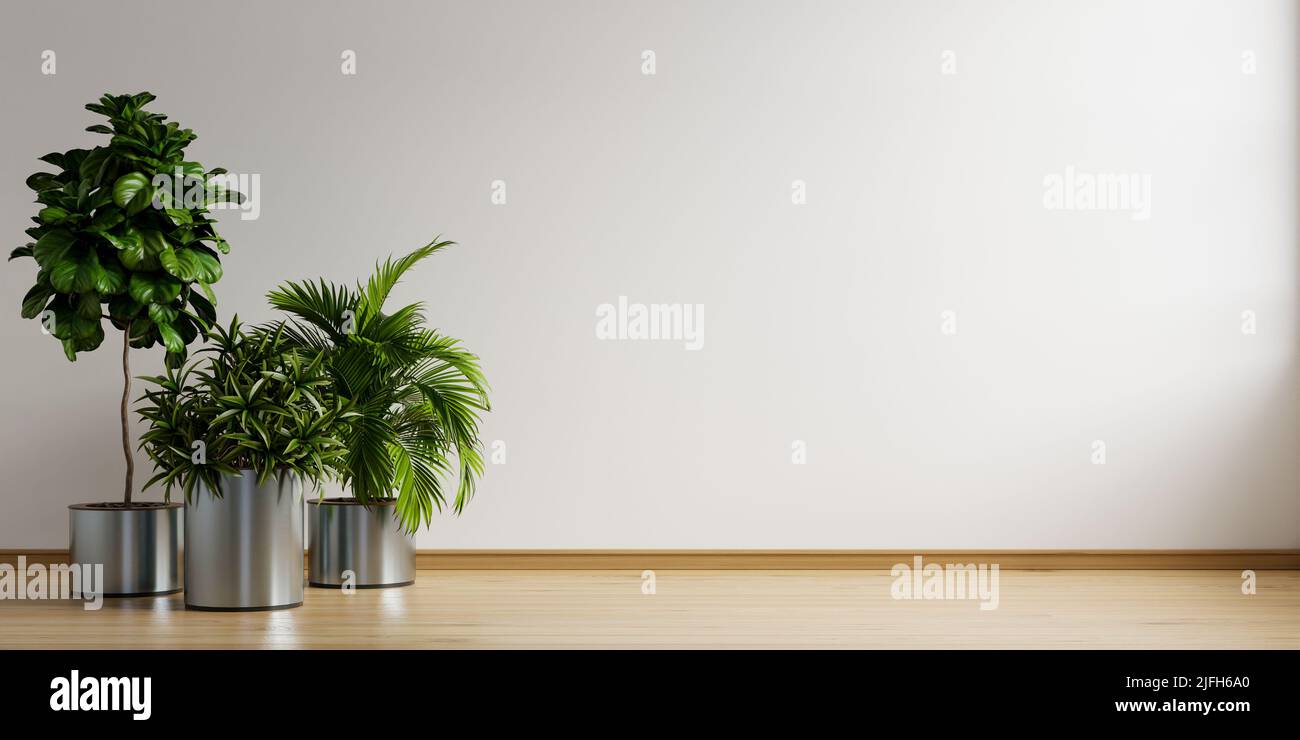 Chambre vide avec plante dans la salle de séjour intérieur.3D rendu Banque D'Images