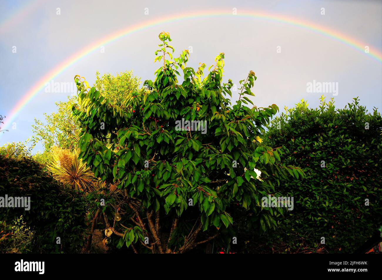 Fortuneswell. 2nd juillet 2022. Météo Royaume-Uni. Un arc-en-ciel se termine par une journée de soleil et de douches. Credit: stuart fretwel/Alamy Live News Banque D'Images