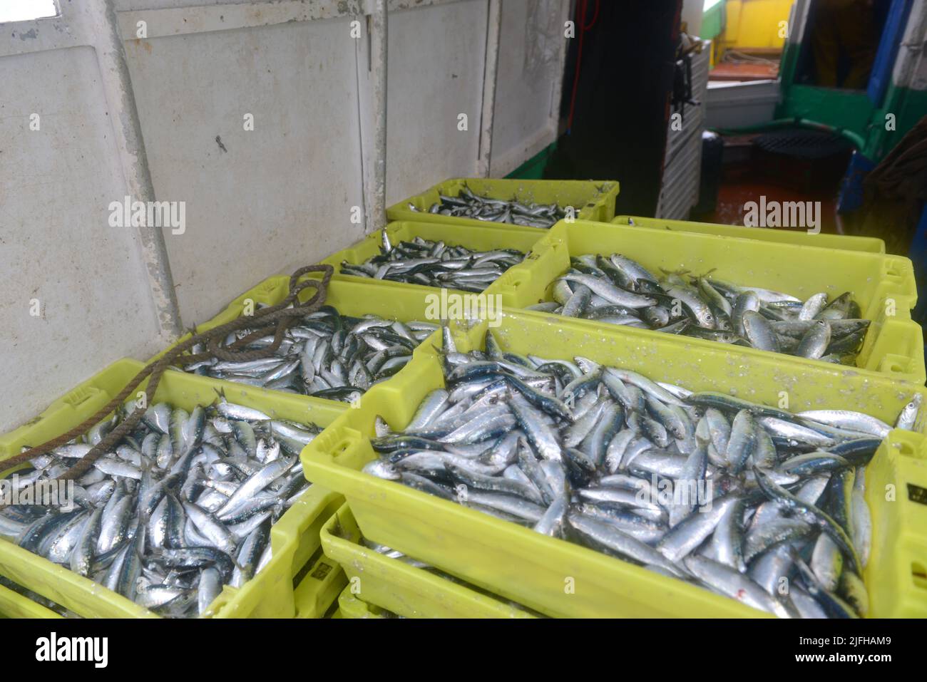 pêche à la sardine en vendée, france Banque D'Images