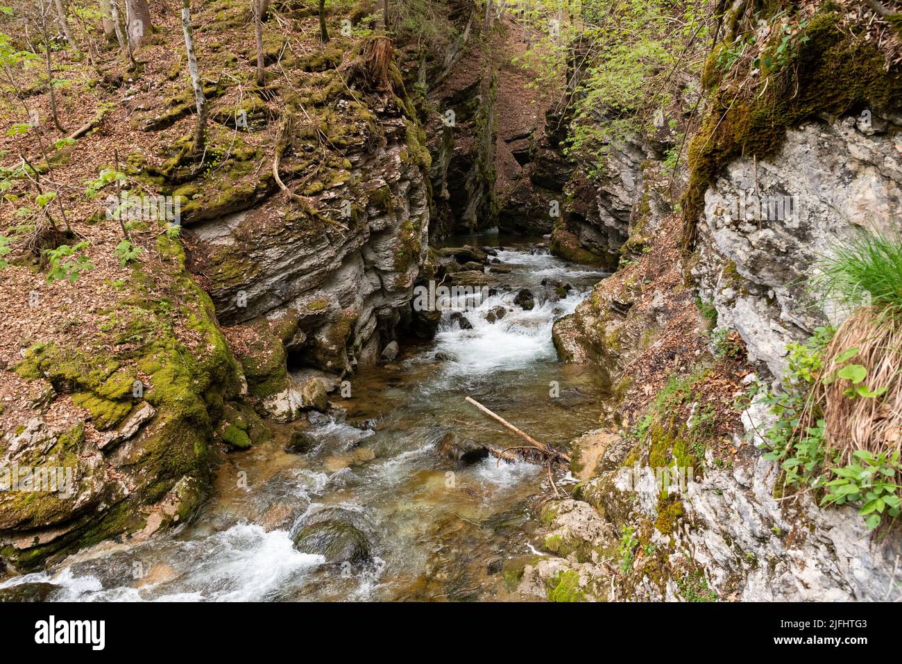 Unterwasser, Suisse, 5 mai 2022 la petite rivière alpine coule le long d'un canyon aux cascades de Thur au printemps Banque D'Images