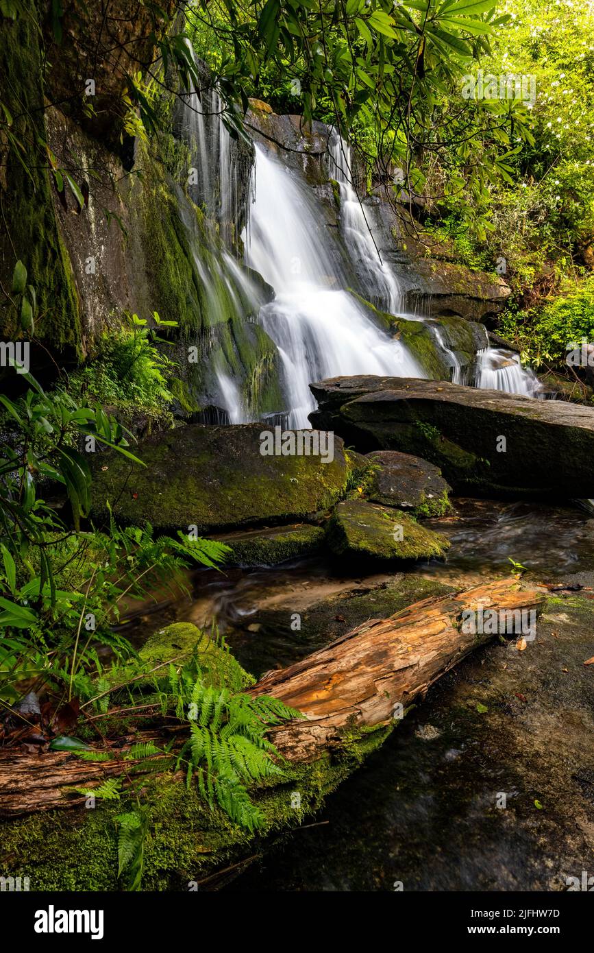 Cedar Rock Falls - Forêt nationale de Pisgah, près de Brevard, Caroline du Nord, États-Unis Banque D'Images