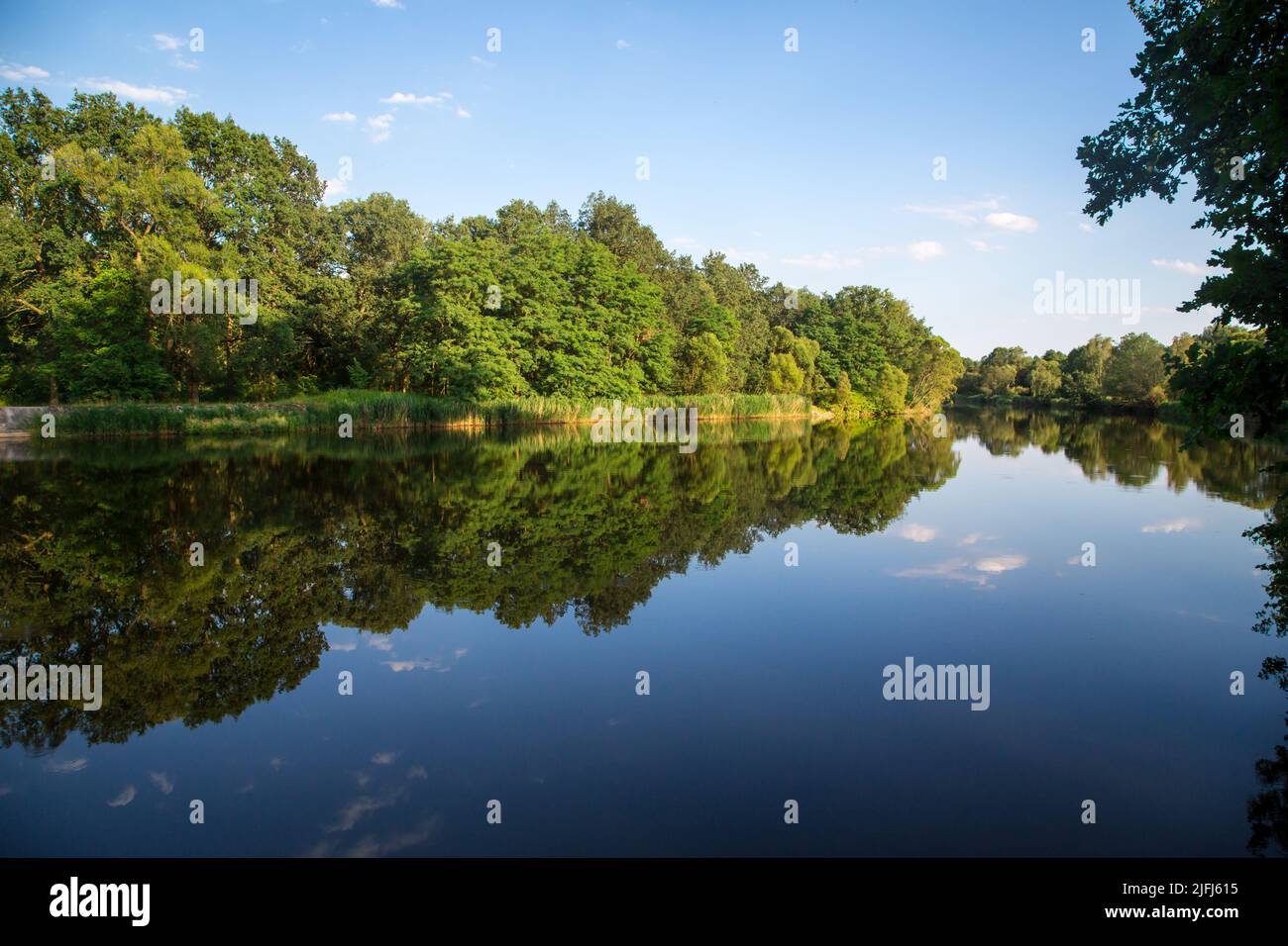 Lusatien Neisse, Oder-Neisse cycle route, Laussitz, Brandebourg, Allemagne Banque D'Images