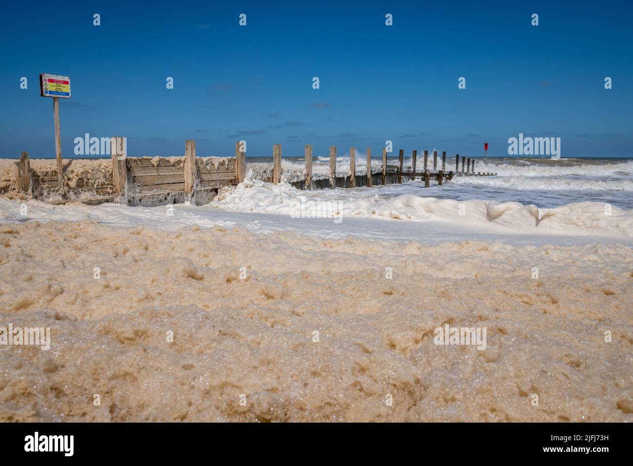 La mousse de mer, la mousse d'océan, la mousse de plage ou la panache