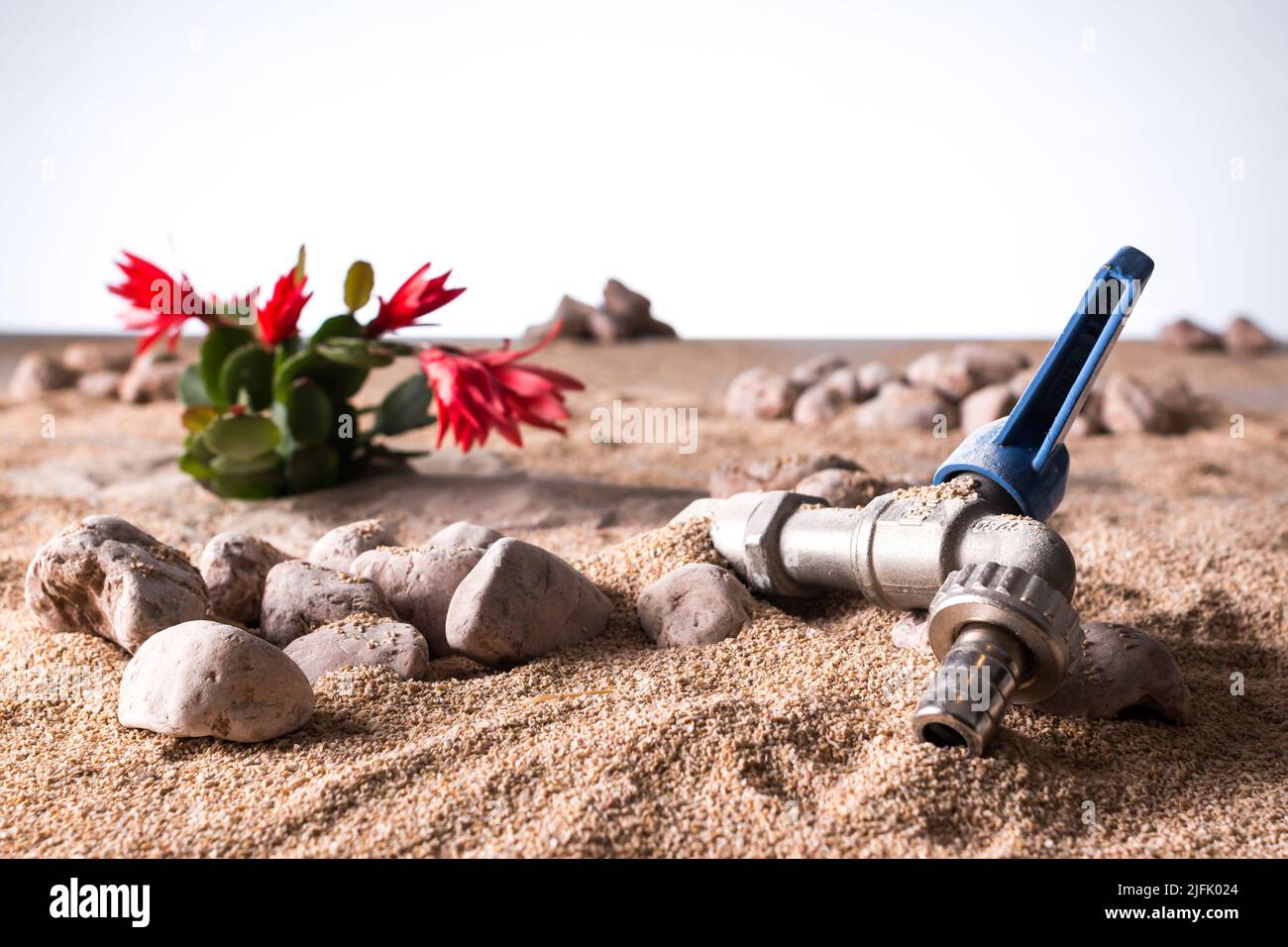 Gros plan d'un robinet ouvert et sec enterré par du sable désertique avec une plante succulente sur fond sec et blanc de ciel Banque D'Images