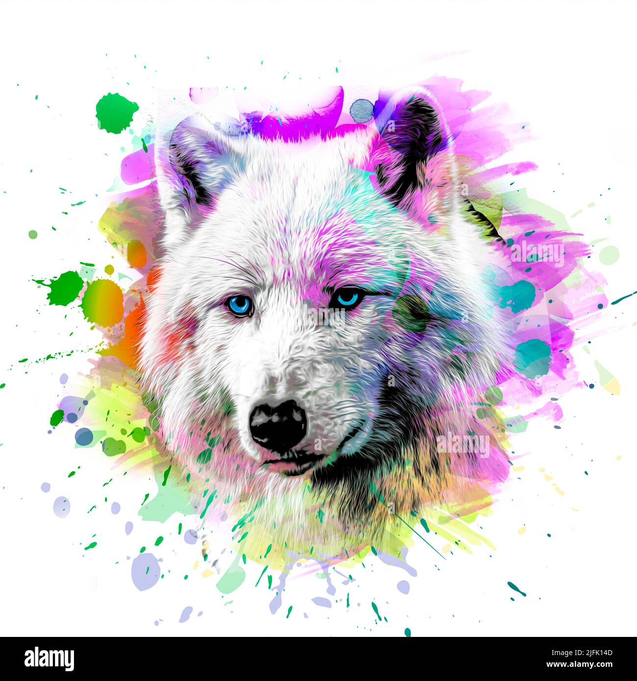 Magnifique Dessin De Loup Facile élément tête de loup Banque de photographies et d'images à haute résolution  - Alamy