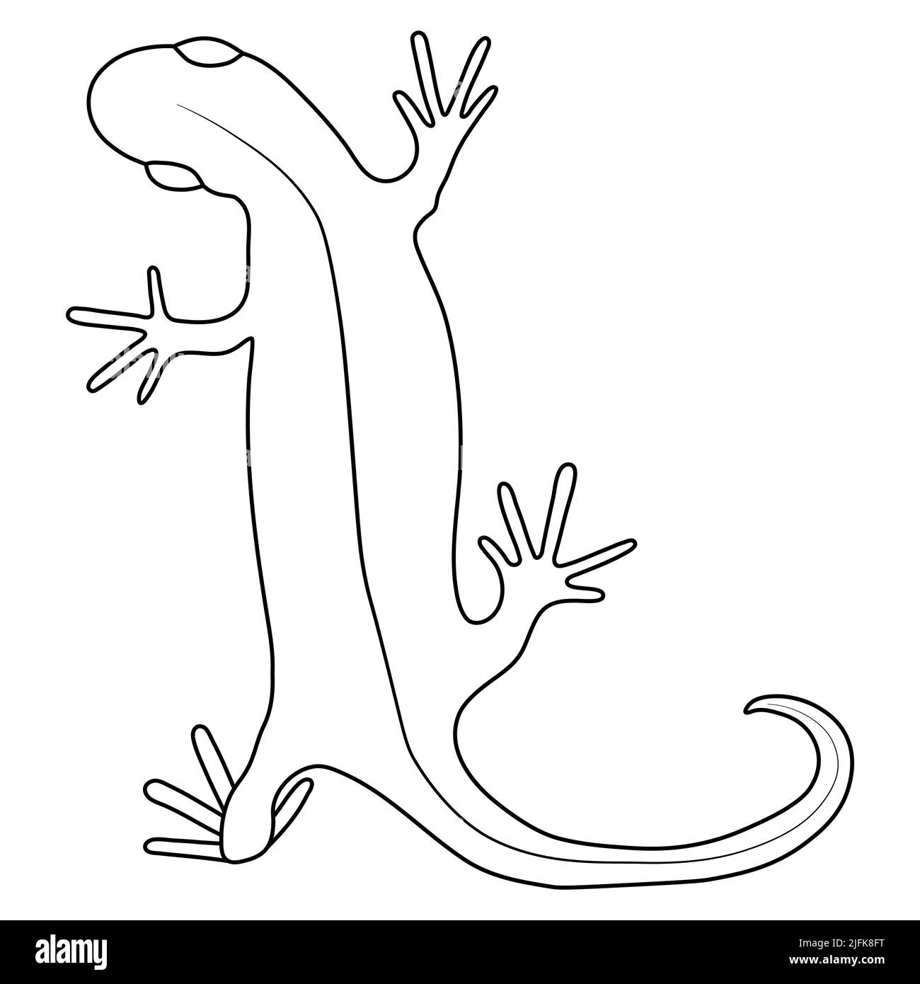 Illustration vectorielle de la carte graphique gecko de reptile de lézard. Illustration de dessin au trait simple isolée sur fond blanc. Modèle pour les impressions Illustration de Vecteur