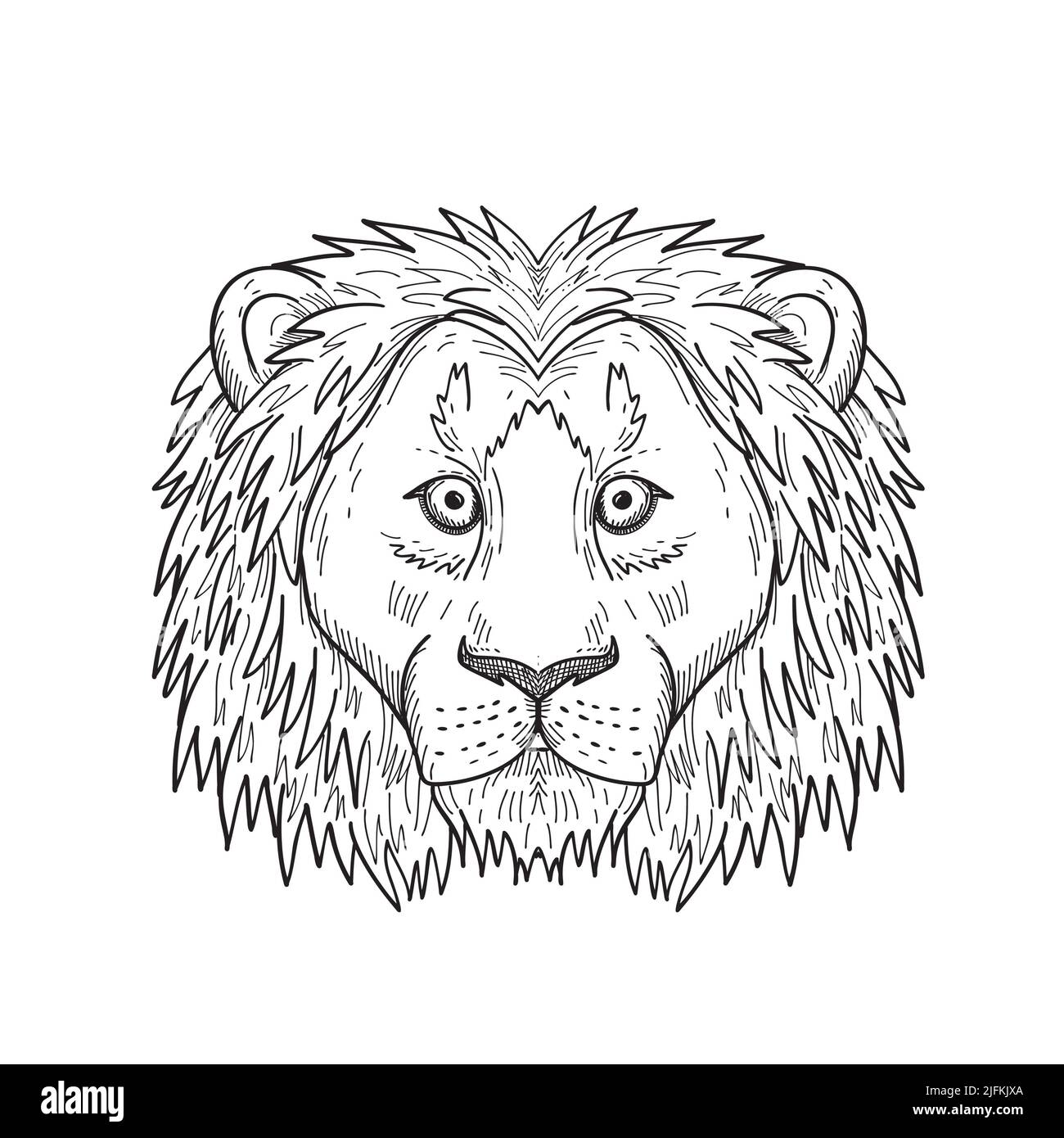Tete De Lion Sans Criniere A Imprimer Sketch of lion head Banque de photographies et d'images à haute résolution  - Alamy